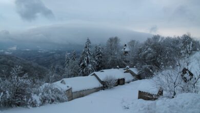 Photo of “Cade la neve” lirica della poetessa Ada Negri