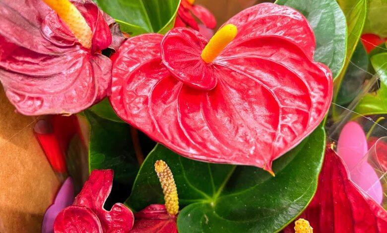 10 idee Bediterranean Diet per San Valentino
