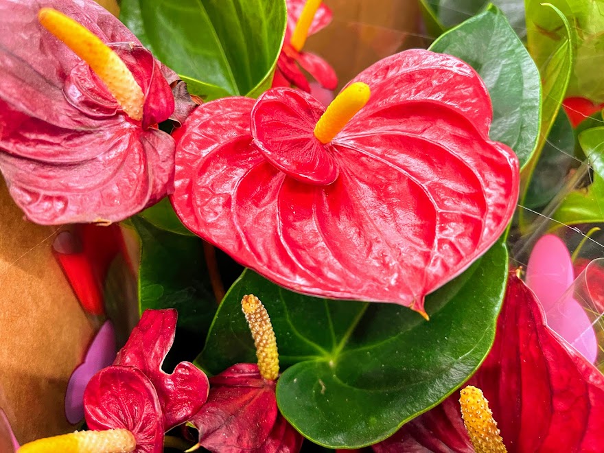10 idee Bediterranean Diet per San Valentino