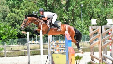 Photo of Golfo Aranci in arrivo eventi salto ostacoli, dressage e paradressage