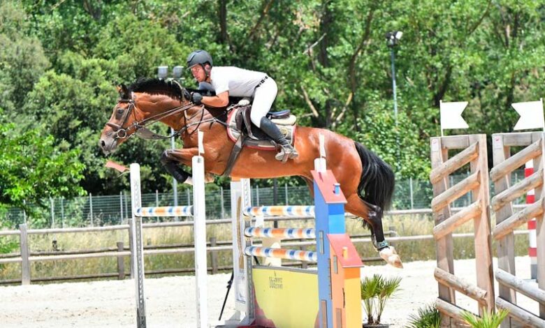 Golfo Aranci in arrivo eventi salto ostacoli, dressage e paradressage
