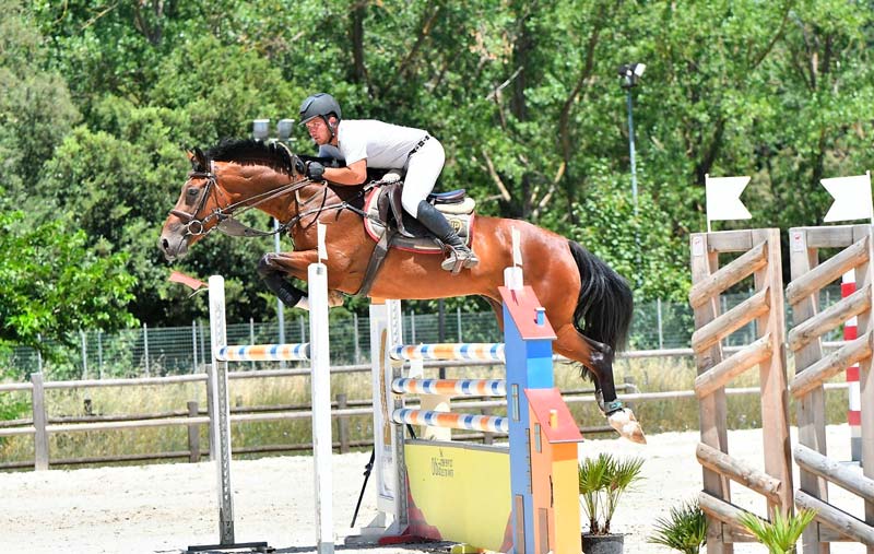 Golfo Aranci in arrivo eventi salto ostacoli, dressage e paradressage
