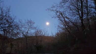Photo of Alla luna di Giacomo Leopardi, la parafrasi