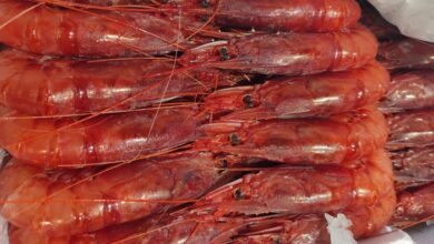 Photo of La dieta nordica per colesterolo, glicemia e peso