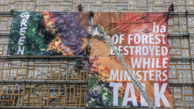 Photo of GREENPEACE: MENTRE SI DISCUTE LA LEGGE EUROPEA CONTRO LA DEFORESTAZIONE, SCOMPARE UNA FORESTA GRANDE COME BRUXELLES