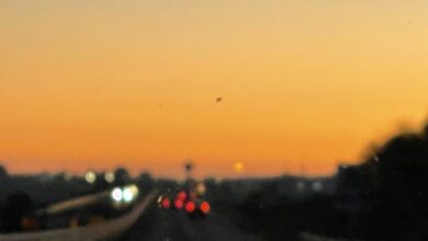 Photo of Trasporti: l’accordo con Bellanova
