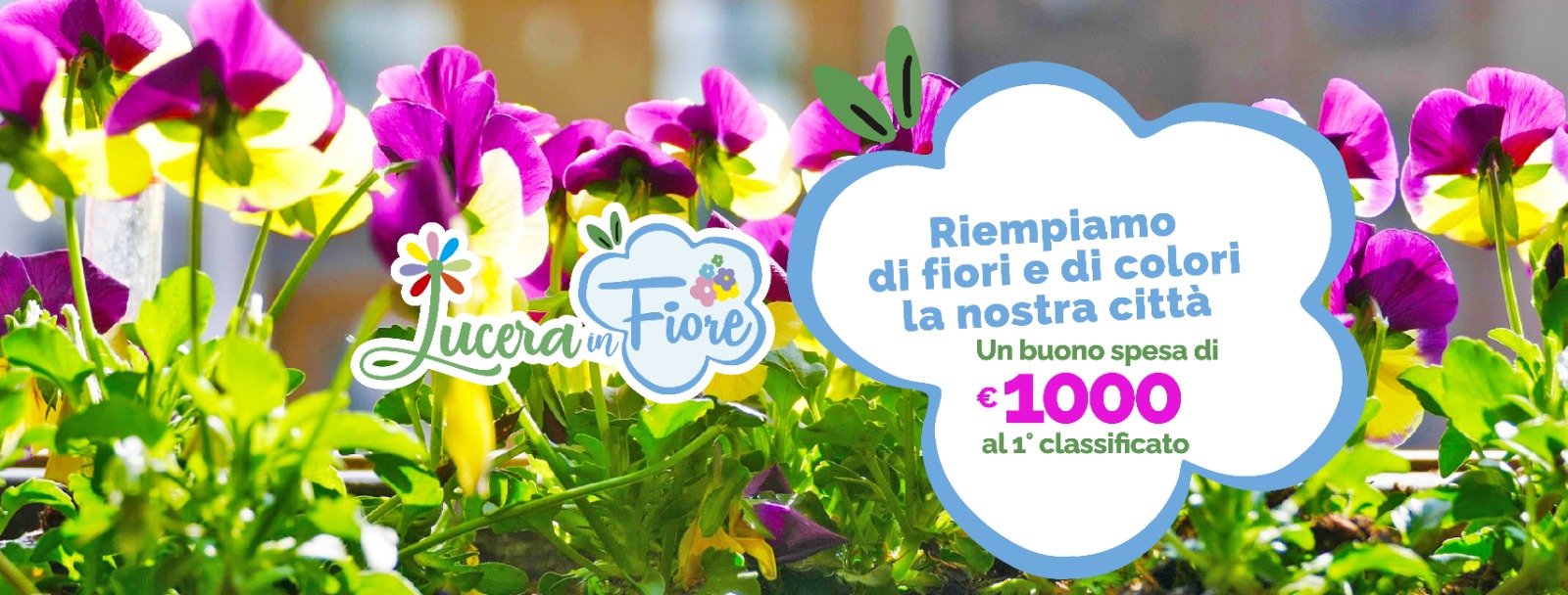 Lucera: alla guerra si risponde con i fiori
