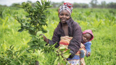 Photo of Clima: a pagare sono le donne