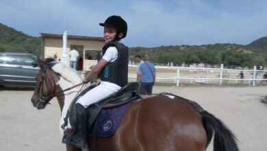 Photo of Golfo Aranci al Palahorse 1^ Tappa Coppa Italia Club per pony- In programma anche gare della federazione paralimpici