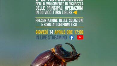 Photo of Liguria: rivoluzione in olivocultura arriva SINOL