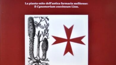 Photo of Messina si presenta il volume “Il fungo dei cavalieri di Malta”