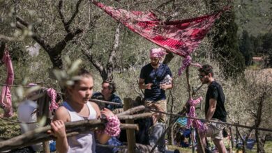 Photo of Pic&Nic a Trevi, Umbria – tornano ad animarsi gli oliveti di Trevi con il PicNic più famoso d’Italia