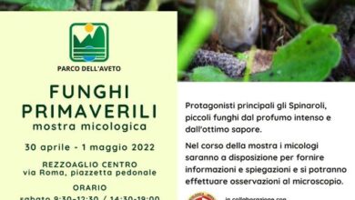 Photo of EVENTI DELLA SETTIMANA nelle Valli del Parco dell’Aveto