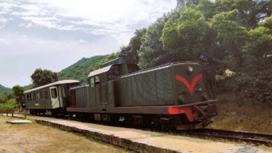 Photo of Pasquetta in Trenino Verde, alla scoperta dei luoghi del “Muto di Gallura”