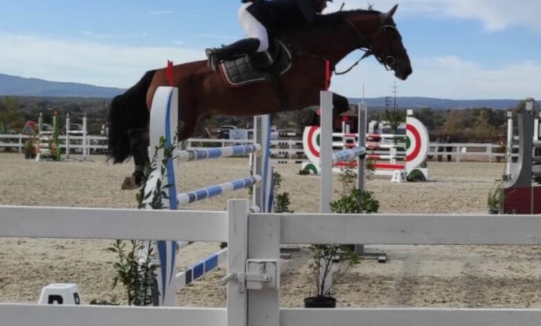 Golfo Aranci all'Ippopark/Palahorse arriva il Master in Dressage