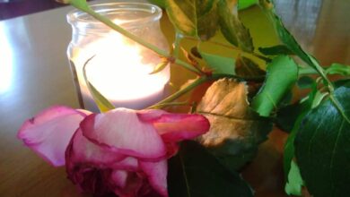 Photo of Villa Capriglio, la casa del diavolo di Torino