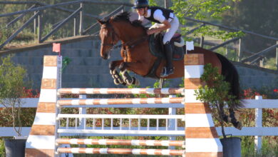 Photo of Salto ostacoli: doppietta di Gianleonardo Murruzzu nel Gran Premio di Tanca Regia (Abbasanta)