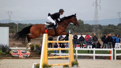 Photo of Sport equestri: l’accordo tra Sardegna e Corsica riduce i costi per le gare di salto ostacoli, endurance e dressage