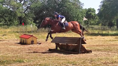 Photo of Sport equestri: a Tanca Regia (Abbasanta) spettacolo col cross country nella tappa Circuito Mipaaf di Completo