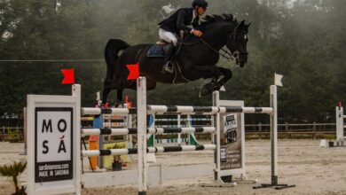 Photo of Salto ostacoli: Centro Is Alinos di Maracalagonis i campionati regionali – Ben 250 i binomi iscritti