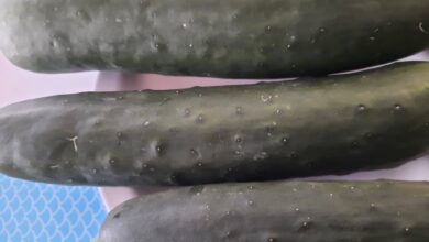 Photo of Cetrioli drenanti, rinfrescanti ed amici della nostra bellezza