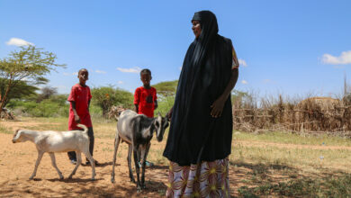 Photo of L’AFRICA ORIENTALE STA AFFRONTANDO LA PEGGIORE CRISI ALIMENTARE DEGLI ULTIMI 40 ANNI