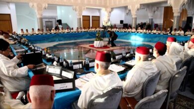 Photo of Il Consiglio Superiore degli Ulema del Marocco condanna il film “La Signora del paradiso”