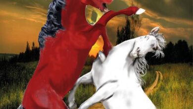 Photo of Riesi, si presenta il volume di Salvatore Giambarresi “La giostra del cavallo”