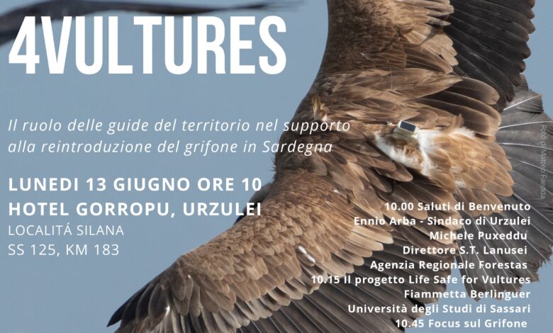 Urzulei: Safe For Vultures al via