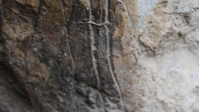 Photo of Termini Imerese, sulle tracce delle antiche Comunità di Cacciatori e Raccoglitori: visita guidata ai Ripari preistorici