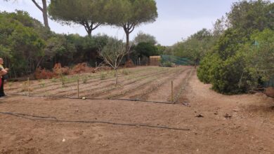 Photo of Sul terreno Legambiente Abbado ad Alghero si aprono finalmente le porte del CRiMM