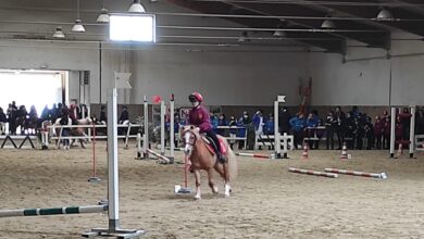 Photo of Golfo Aranci tutto pronto per il week end equestre