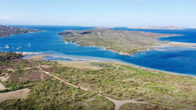 Photo of In Sardegna nasce il vermentino fatto con l’uva che ha riposato in mare