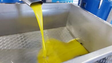 Photo of Olio: serve vincere nuove sfide. Sicolo Cia Puglia
