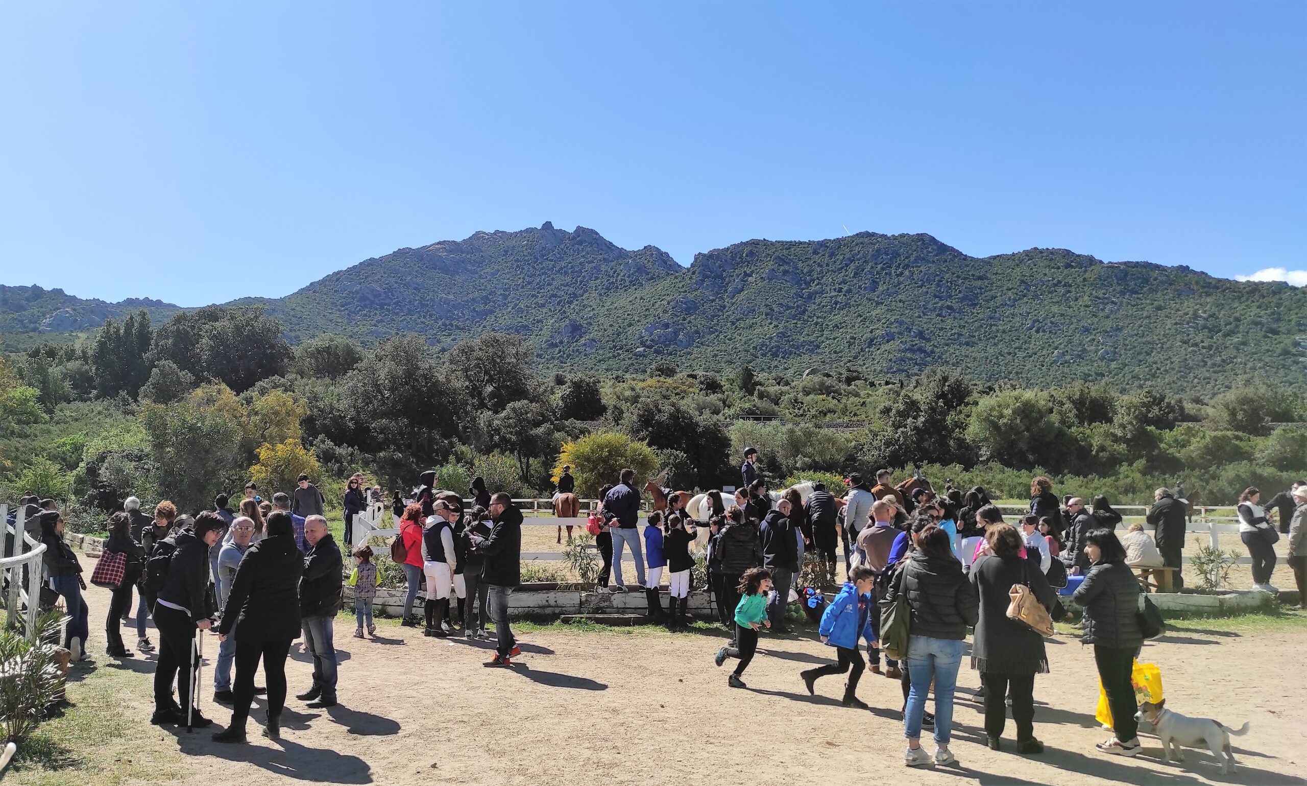 Golfo Aranci: tra sport equestri, moda e turismo. Estate