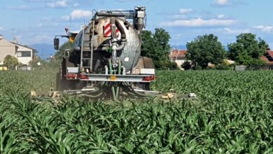 Photo of Agricoltura, l’economia circolare supera la “crisi concime”