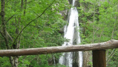Photo of EVENTI DELLA SETTIMANA nelle Valli del Parco dell’Aveto