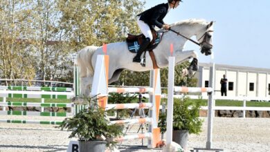 Photo of Salto ostacoli: Luigi Angius su Rarità si impone nel Gran Premio C140 della 4^ Tappa dei Nuraghi a Tanca (Regia Abbasanta)