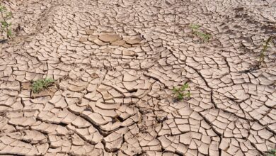Photo of Siccità: la situazione degli invasi in Sardegna
