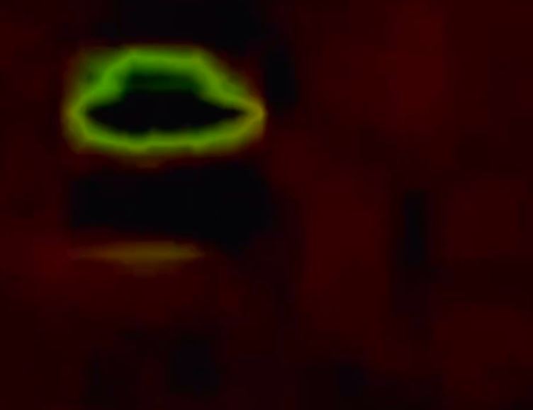 Boom di UFO: estate 2022