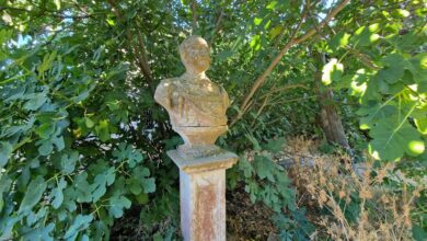 Photo of Modigliani in Sardegna e la tenuta di Borgo Sant’Angelo