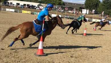 Photo of Mounted Games: storico bronzo con la nazionale per il cavaliere sardo Andrea Mario Filigheddu ai Campionati Europei Under 18