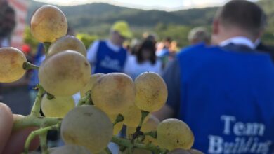Photo of WINE EXPERIENCE: COOKING TEAM BUILDING IN VIGNA CON IL SALE DELLA LIGURIA E I FOOD AMBASSADOR BY LIGURIA