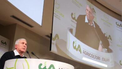 Photo of Sicolo (Cia Puglia), “Subito il Governo, risorse e forza al Ministero dell’Agricoltura”