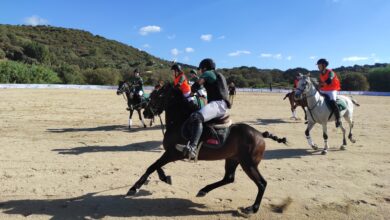 Photo of Polo Pony: la Sardegna batte la Lombardia e conquista la Coppa Italia al Palahorse Ippopark di Golfo Aranci