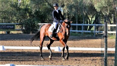 Photo of Dressage: Francesca Giulia Passerini vince il titolo sardo al Circolo Is Alinos di Maracalagonis