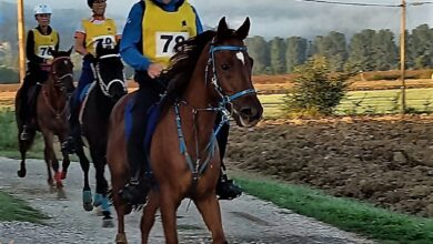 Photo of Endurance: Fabrizio Pintore terzo nella tappa Mipaaf con Amore