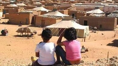 Photo of I crimini dell’Algeria e della milizia Polisario denunciati davanti al Consiglio dei diritti umani dell’Onu