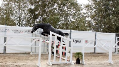 Photo of Allevamento e sport: 60° Premio Regionale Sardo a Tanca Regia (Abbasanta)