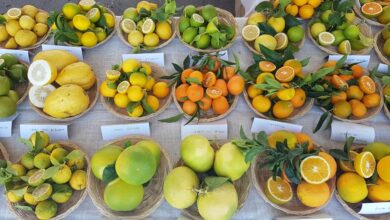Photo of Fiera dell’Agricoltura, con CIA il punto sulla lotta contro l’illegalità rurale